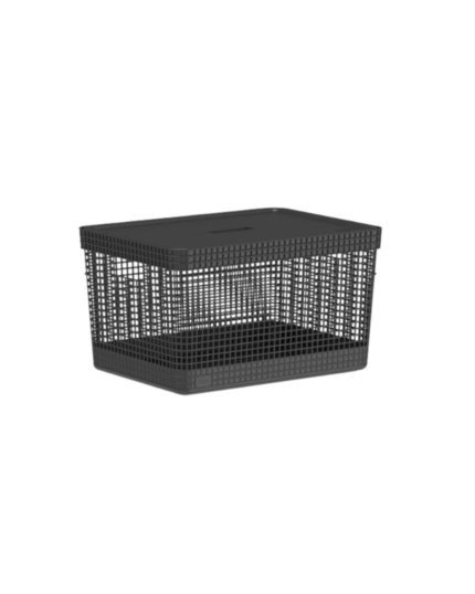 Closet Aberto Modular para Solteiro 145cm (Eternity 31)